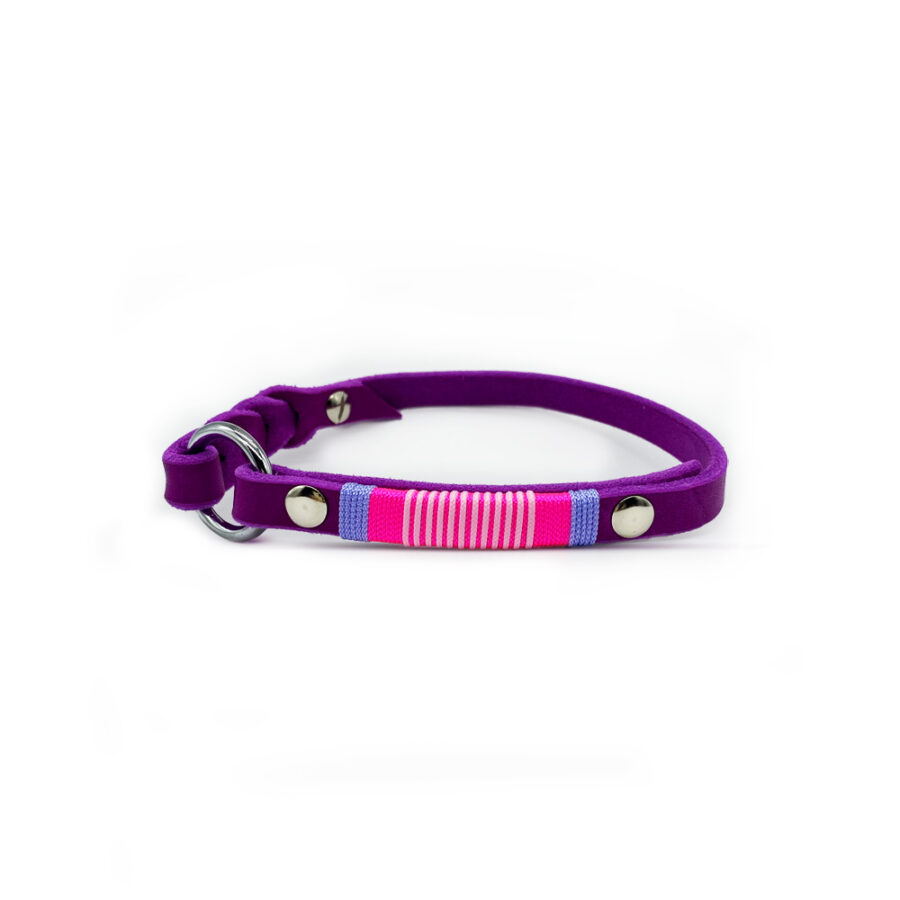 Markenhalsband aus Fettleder